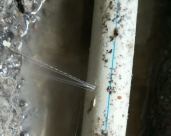 盐都卫生间测漏水多少钱
